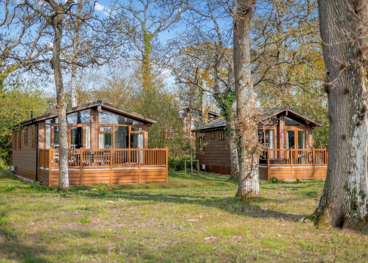 Wareham Forest Retreat Holiday park