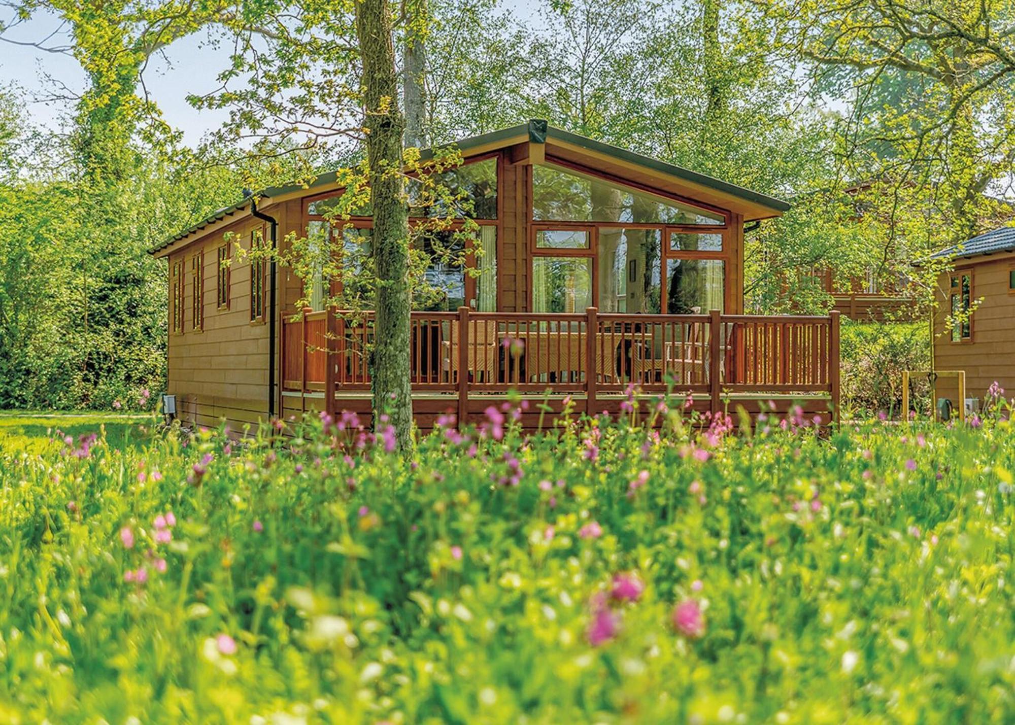 Wareham Forest Retreat Holiday park *